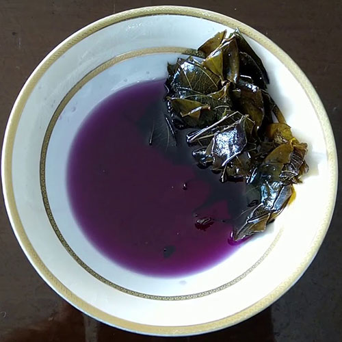 Danthapala Oil (ദന്തപാല)