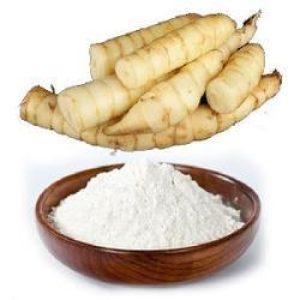 Arrow Root (കൂവപ്പൊടി )
