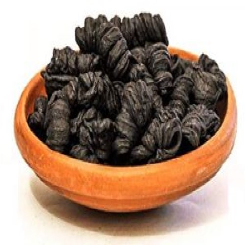 Kudampuli