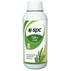 SPC Cure+(ഫങ്കൽ ,ചീയൽ ,വാട്ടം)