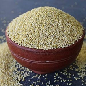 MILLET-Little(ചാമ )