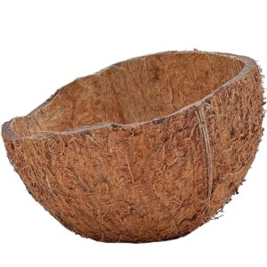 Coconut Shell/Chiratta(ചിരട്ട)